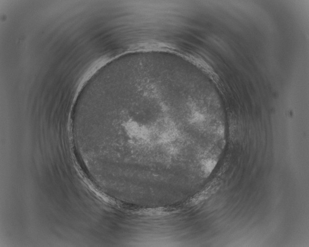 X0000067900990200605041613