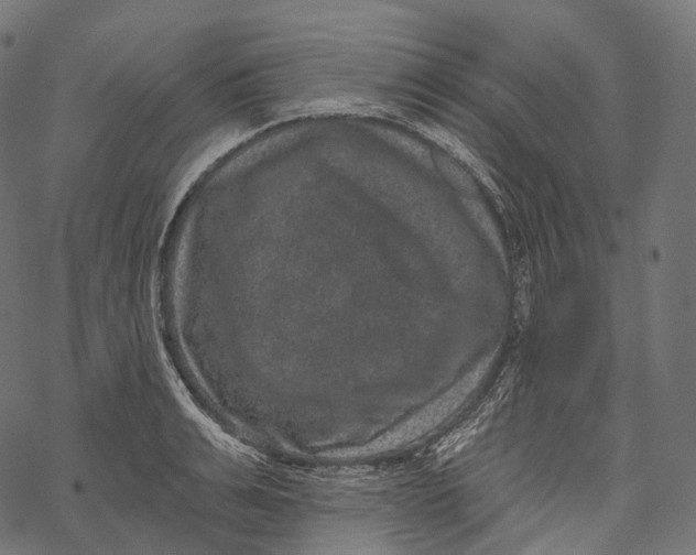 X0000067900991200605041613