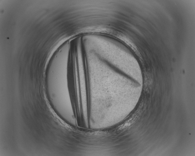 X0000067900992200605041613