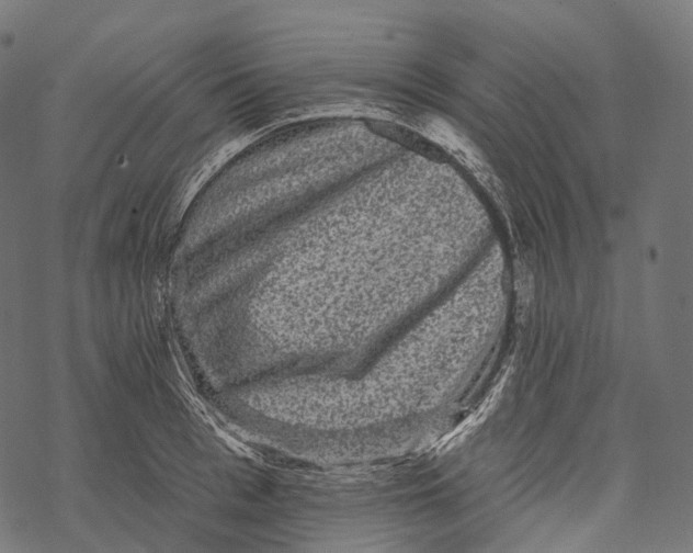 X0000067900993200605041613