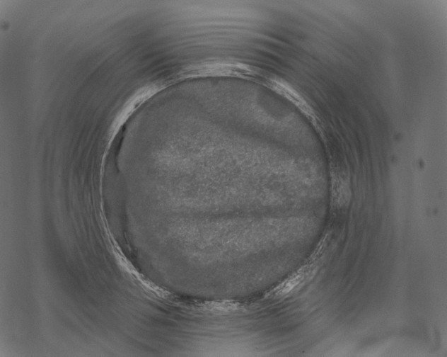 X0000067900994200605041613