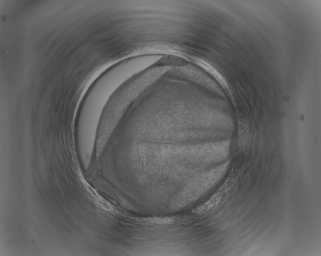 X0000067900996200605041613