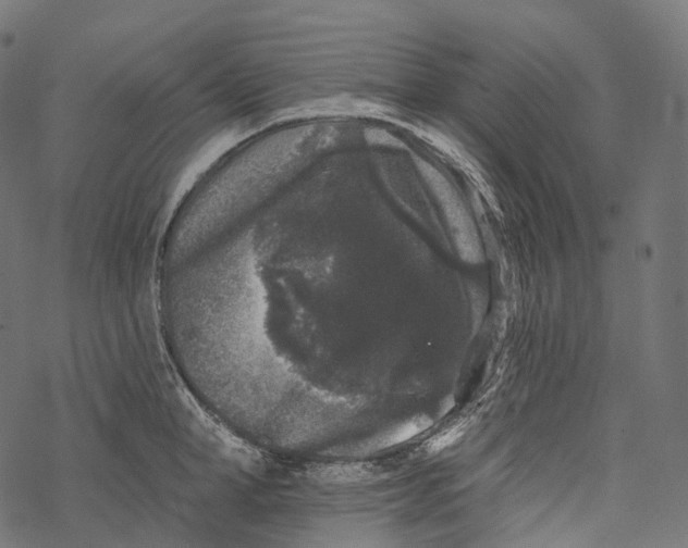 X0000067900998200605041613