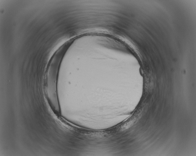 X0000067900999200605041613