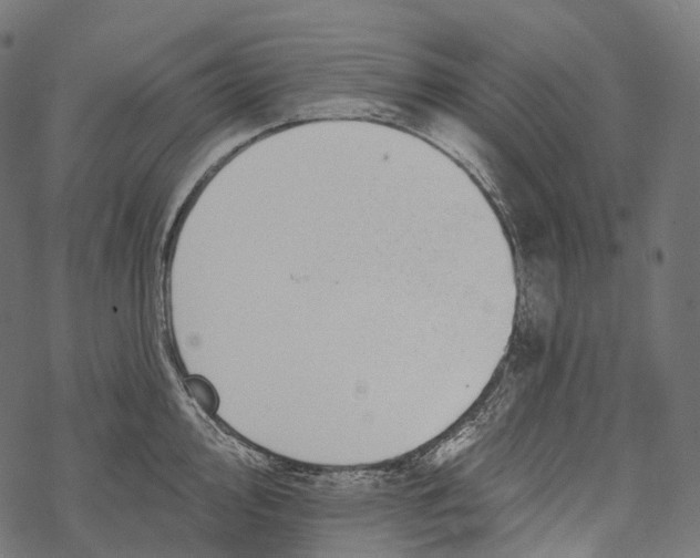 X0000067901000200605041613