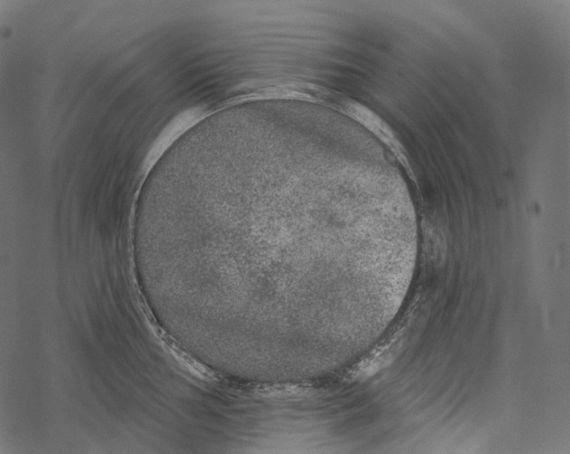 X0000067901002200605041613