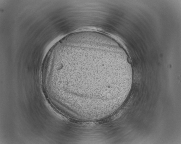 X0000067901003200605041613