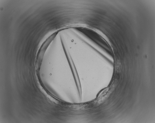 X0000067901005200605041613