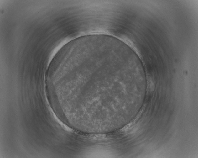 X0000067901006200605041613