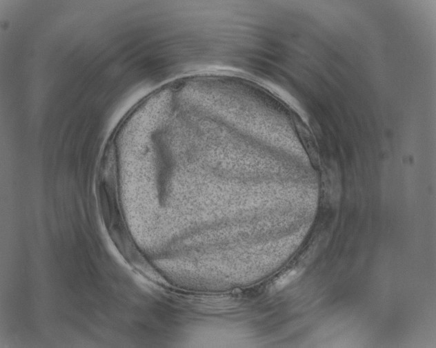 X0000067901007200605041613