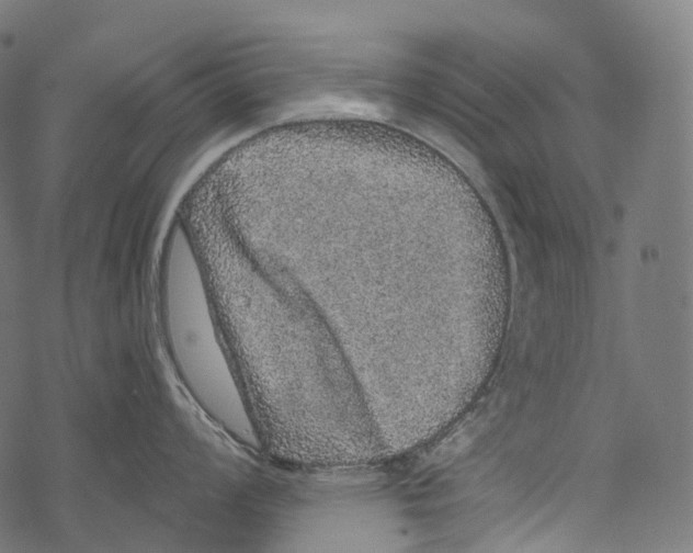 X0000067901008200605041613