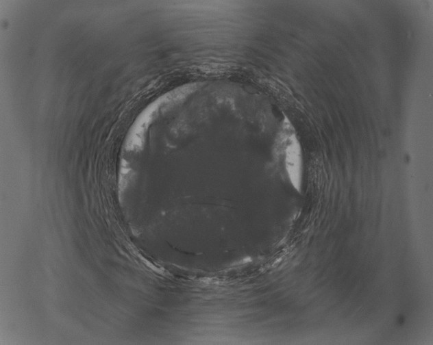 X0000067901009200605041612