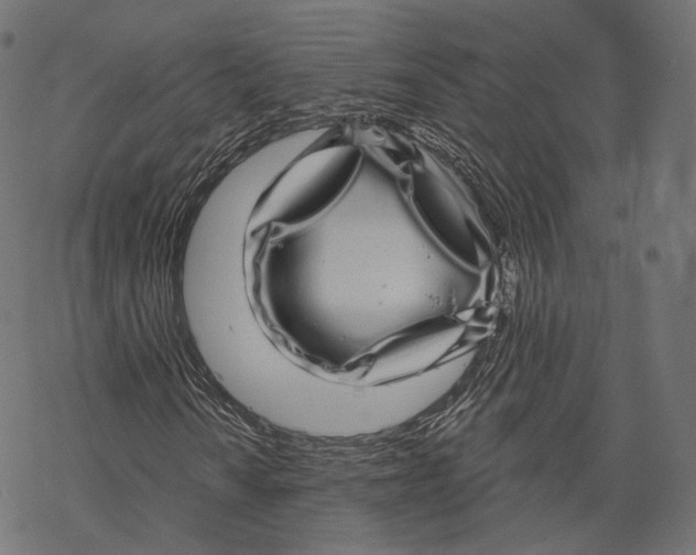 X0000067901010200605041612