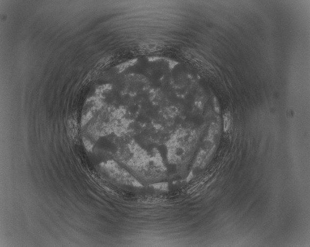 X0000067901011200605041612