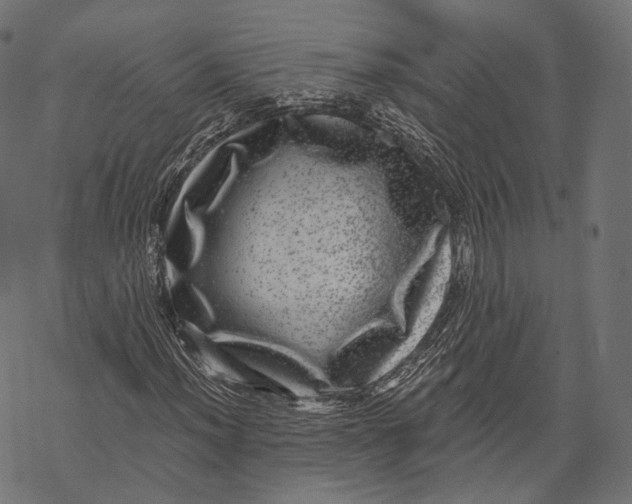 X0000067901012200605041612