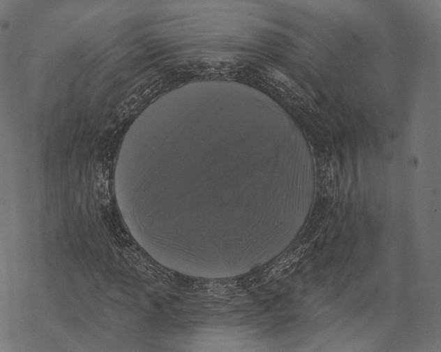 X0000067901013200605041612