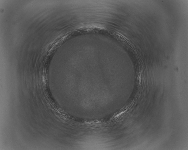 X0000067901014200605041612