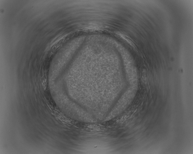 X0000067901015200605041612