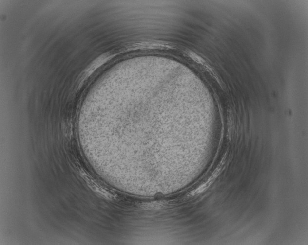 X0000067901017200605041612