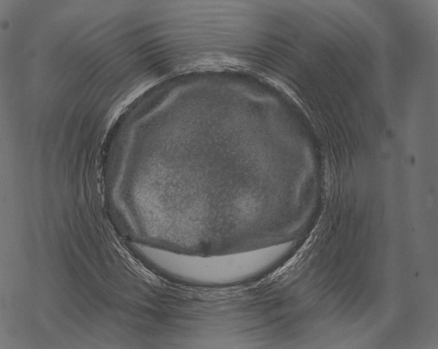 X0000067901018200605041612