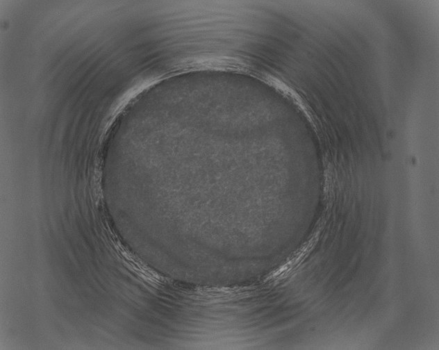 X0000067901019200605041612