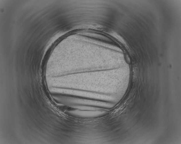 X0000067901020200605041612