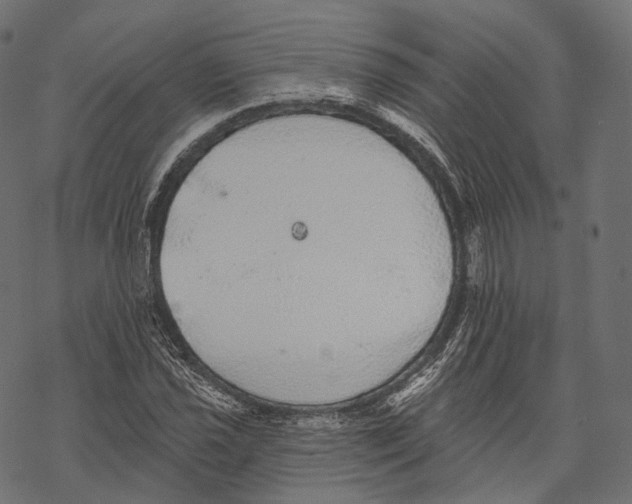 X0000067901021200605041612