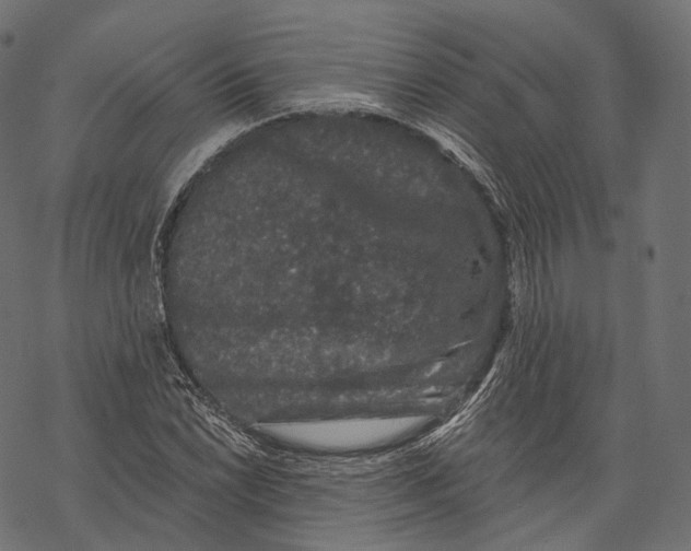 X0000067901022200605041612