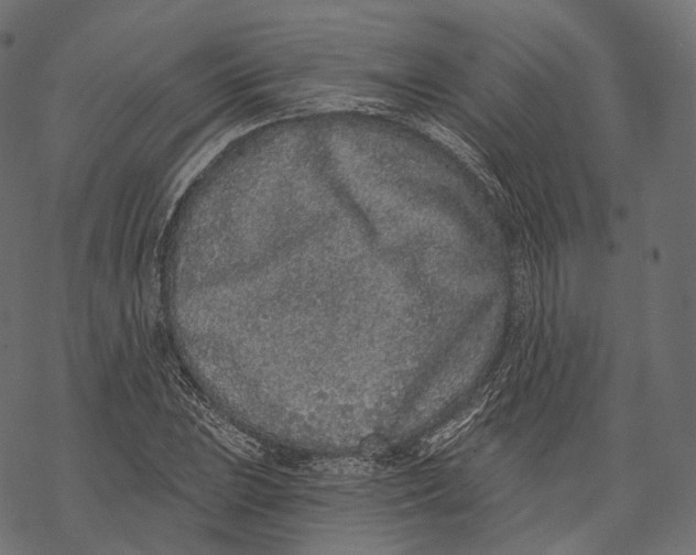 X0000067901023200605041612