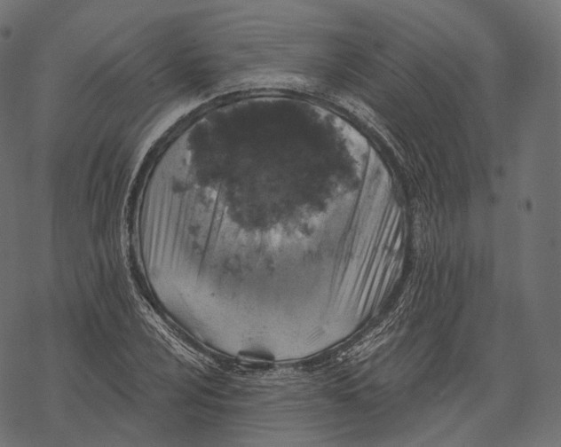 X0000067901024200605041612