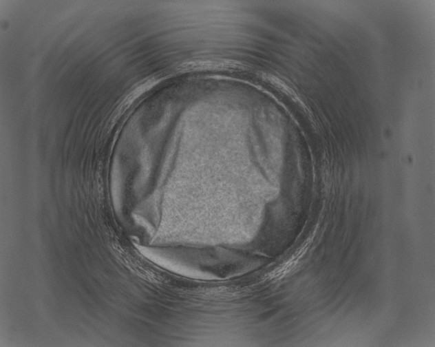 X0000067901025200605041612