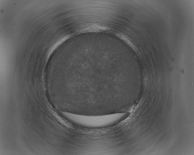 X0000067901026200605041612