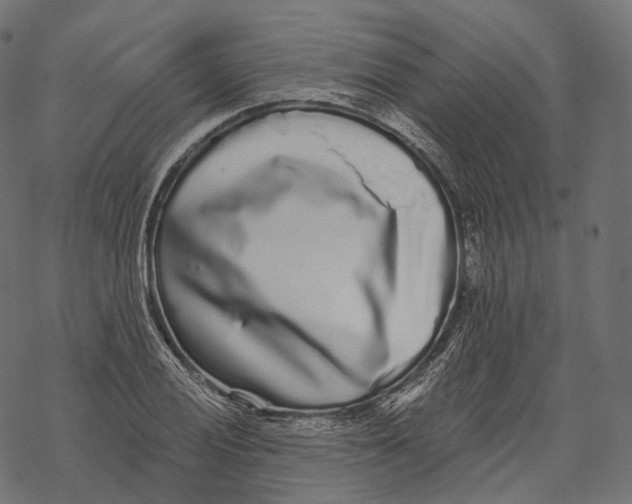 X0000067901028200605041612