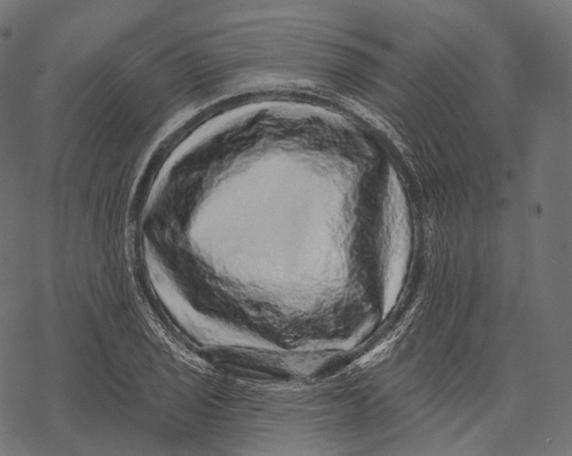 X0000067901029200605041612