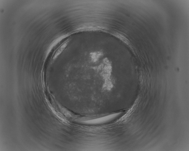 X0000067901030200605041612