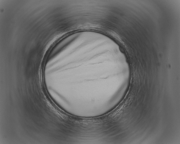 X0000067901032200605041612