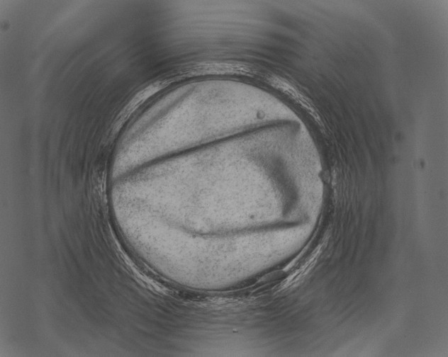 X0000067901033200605041612