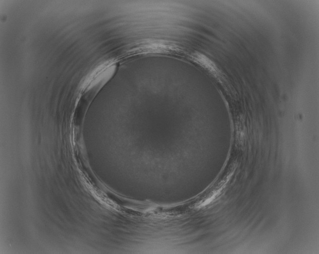 X0000067901034200605041612