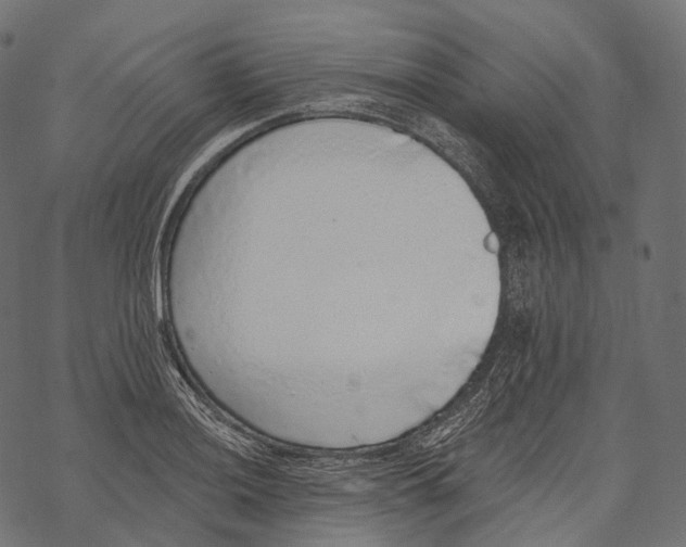 X0000067901036200605041612