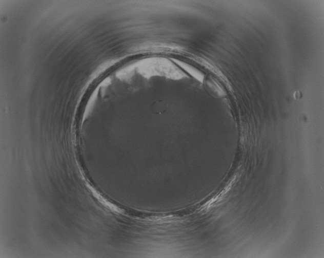 X0000067901037200605041612