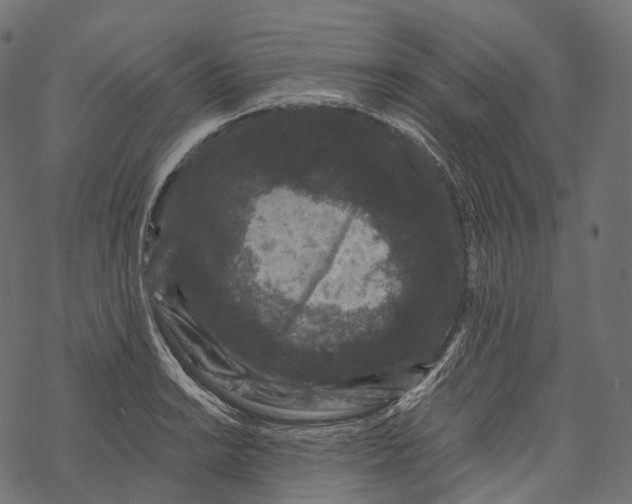 X0000067901038200605041613