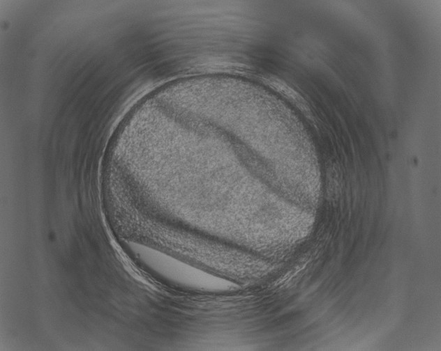 X0000067901039200605041613