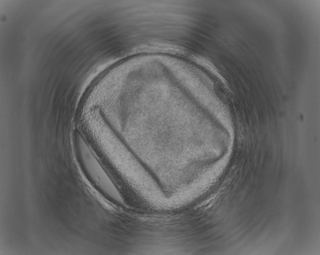 X0000067901040200605041613