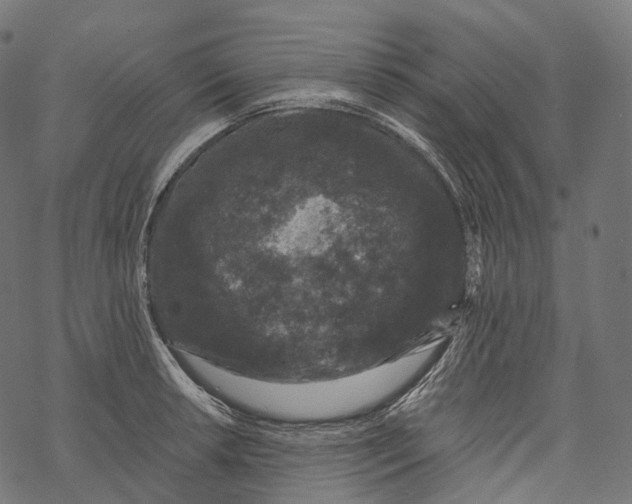 X0000067901042200605041613