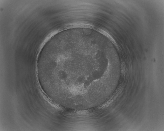 X0000067901043200605041613