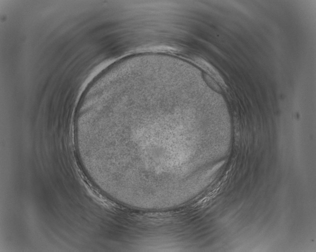 X0000067901044200605041613