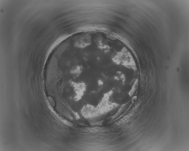 X0000067901045200605041613