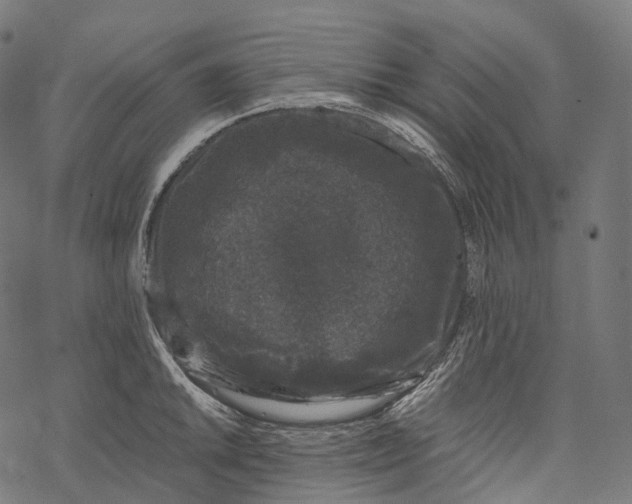 X0000067901046200605041613