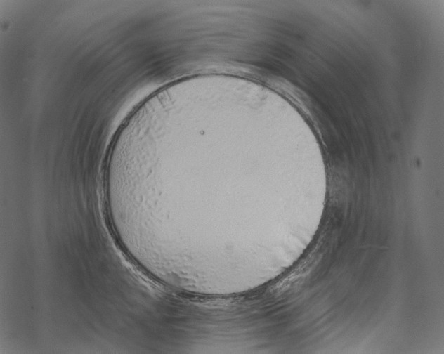 X0000067901048200605041613