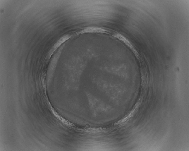 X0000067901049200605041613